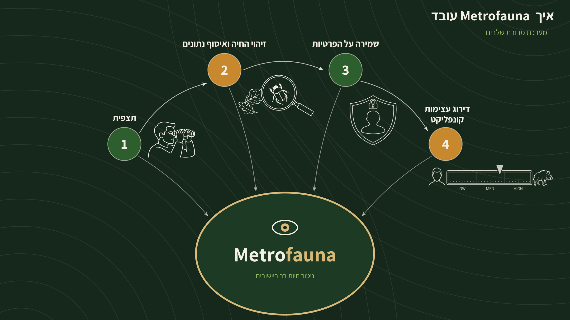 איך Metrofauna עובדת — כל שלב מזין פלטפורמה אחת: צפייה, זיהוי, הגנה ודירוג סיכון.