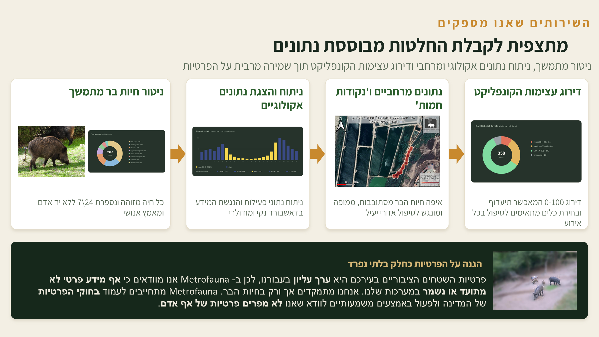 היכולות של Metrofauna — ניטור רציף, ניתוח פעילות ומגמות, מפת חום ודירוג סיכון קונפליקט לכל תצפית, לצד פרטיות בעיצוב.